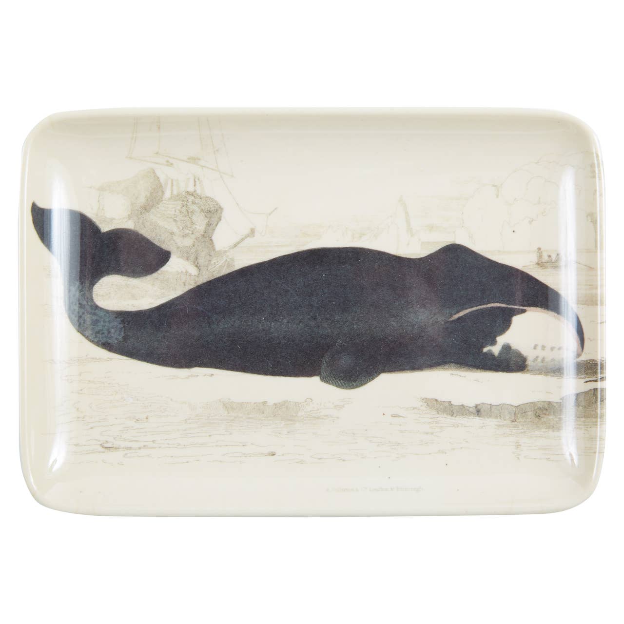 Baleen Valet Tray